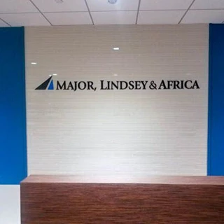 africa lindsey 3 dimensional 3d custom paint acrylic sign install DTLA direct mount